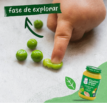 Projeto Gerber — imagem 2