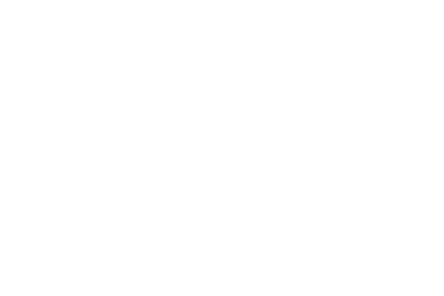 Advortex