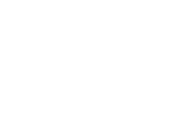 Maggi