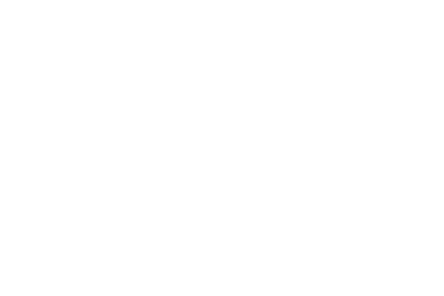 Raftech