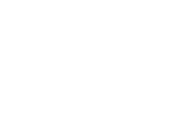Scarpin