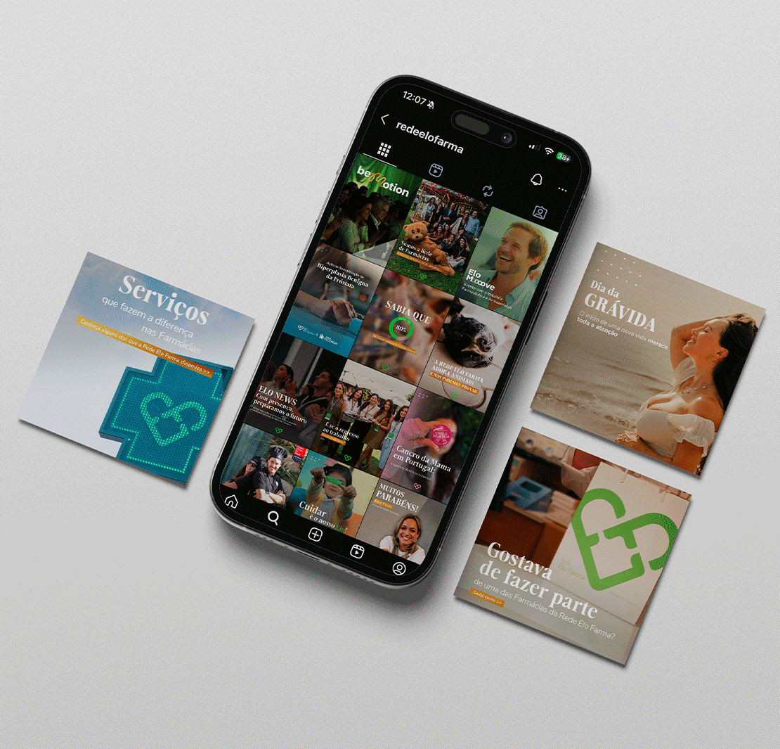 Projeto Rede Elo Farma — imagem 4